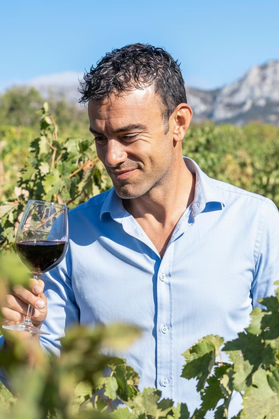 Vinnova - Consultoría vitivinícola